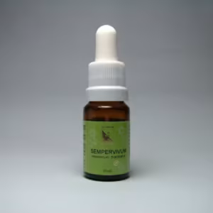 Sempervivum Floral de Minas 10 ml