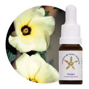 Sergipe Floral de Saint Germain 10 ml