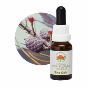 She Oak Floral do Bush Australiano 15 ml
