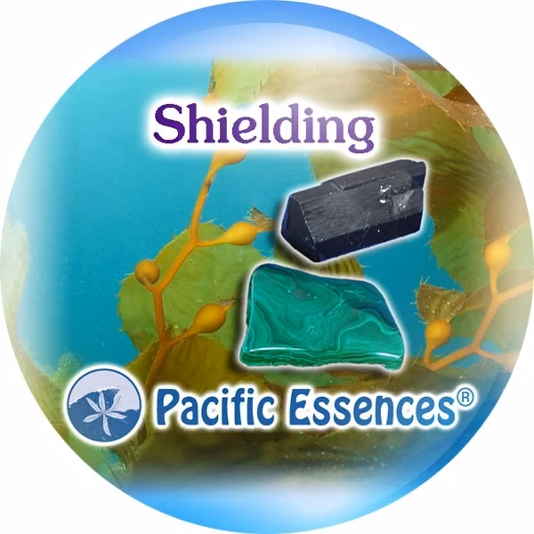 Shielding Proteção Essência Mineral do Pacífico 25 ml - Imagem 2