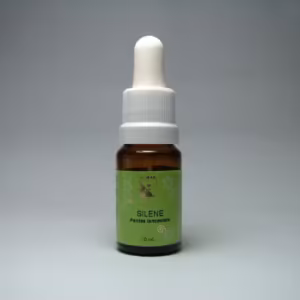 Silene Floral de Minas 10 ml