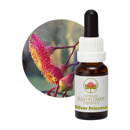 Silver Princess Floral do Bush Australiano 15 ml