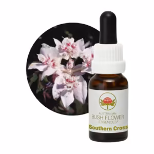 Southern Cross Floral do Bush Australiano 15 ml