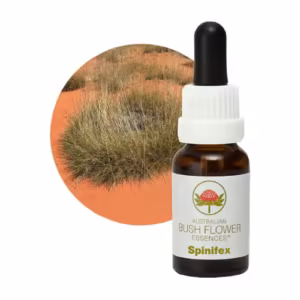 Spinifex Floral do Bush Australiano 15 ml