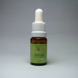 Splendens Floral de Minas 10 ml