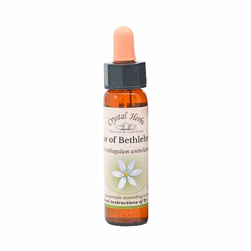Star of Bethlehem Floral de Bach 10ml - Imagem 2