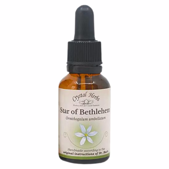 Star of Bethlehem Floral de Bach 20ml - Imagem 2