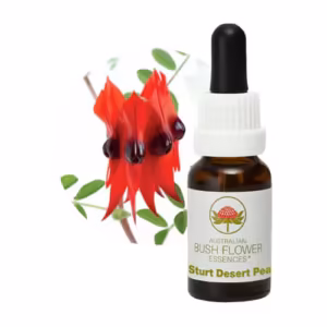 Sturt Desert Pea Floral do Bush Australiano 15 ml