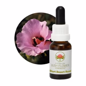 Sturt Desert Rose Floral do Bush Australiano 15 ml