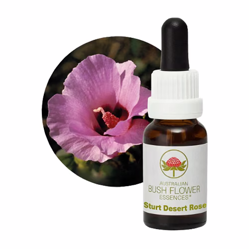 Sturt Desert Rose Floral do Bush Australiano 15 ml