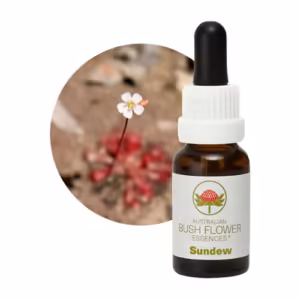 Sundew Floral do Bush Australiano 15 ml