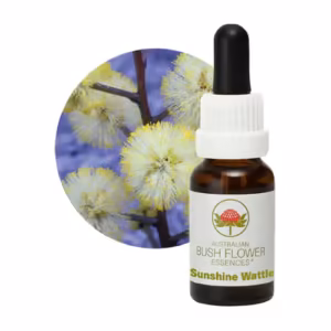 Sunshine Wattle Floral do Bush Australiano 15 ml