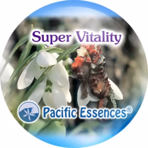 Super Vitality Super Vitalidade Essência do Pacífico 25 ml