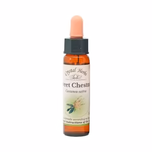 Sweet chestnut Floral de Bach 10 ml
