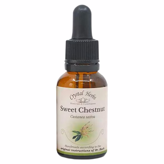Sweet Chestnut Floral de Bach 20 ml