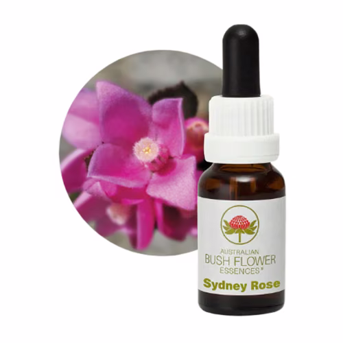 Sydney Rose Floral do Bush Australiano 15 ml