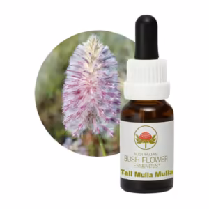 Tall Mulla Mulla Floral do Bush Australiano 15 ml
