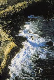 Tidal Forces Essência Ambiental do Alaska