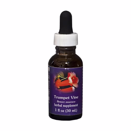 Trumpet Vine Floral Califórnia 30 ml - Imagem 2