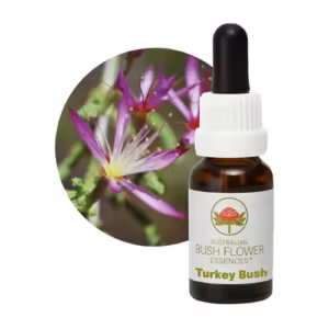 Turkey Bush Floral do Bush Australiano 15 ml