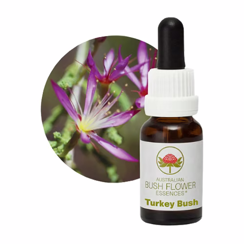 Turkey Bush Floral do Bush Australiano 15 ml