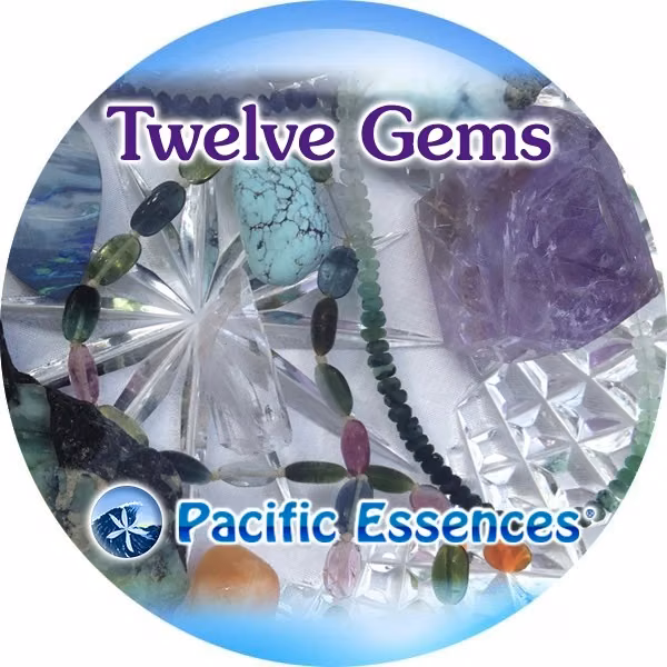 Twelve Gems Doze Gemas 25 ml - Imagem 2