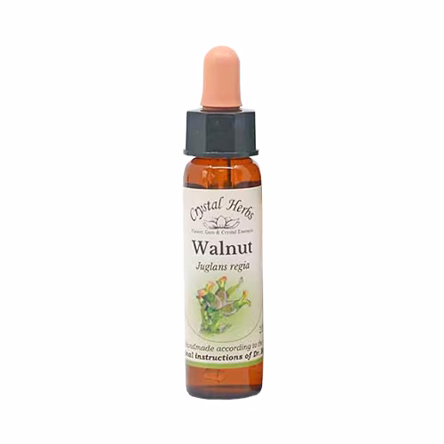 Walnut Floral de Bach 10 ml - Imagem 2