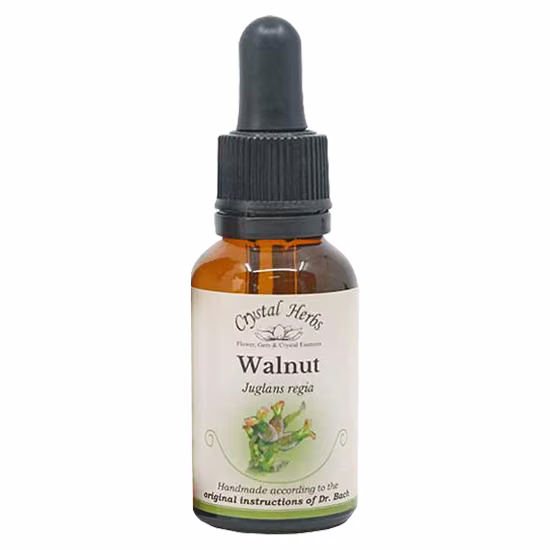 Walnut Floral de Bach 20 ml - Imagem 2