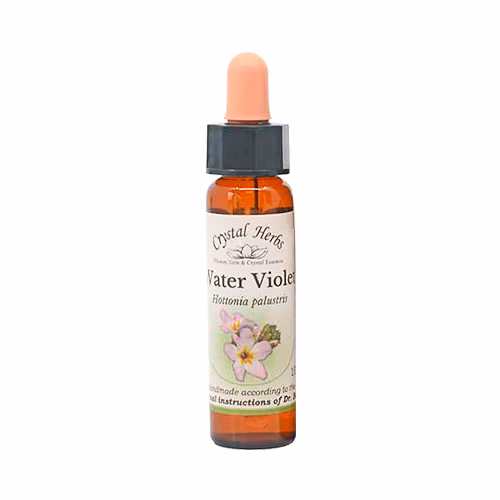 Water Violet Floral de Bach 10 ml - Imagem 2