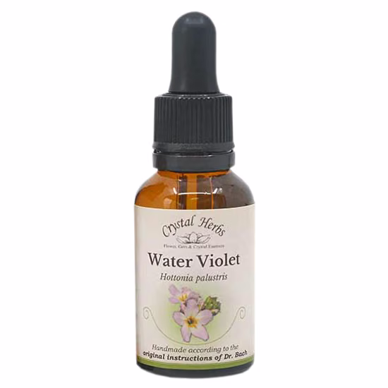 Water Violet Floral de Bach 20 ml - Imagem 2