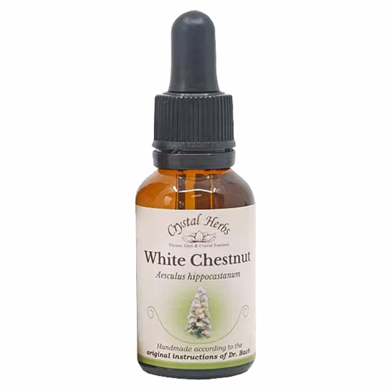 White Chestnut Floral de Bach 20 ml - Imagem 2
