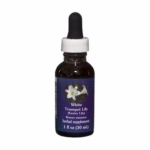 White Trumpet Lily Floral da Califórnia 30 ml - Imagem 2