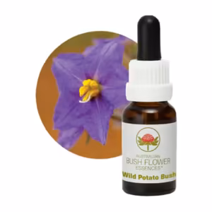 Wild Potato Bush Floral do Bush Australiano 15 ml