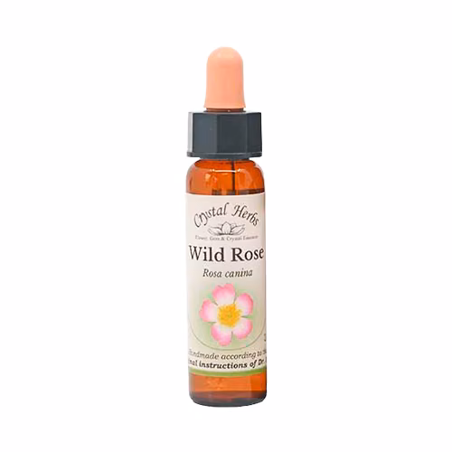 Wild Rose Floral de Bach 10 ml - Imagem 2