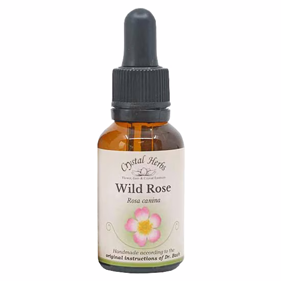 Wild Rose Floral de Bach 20 ml - Imagem 2