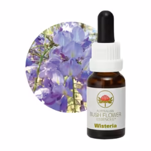 Wisteria Floral do Bush Australiano 15 ml