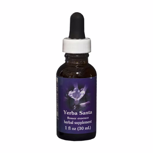 Yerba Santa Floral Califórnia 30 ml - Imagem 2